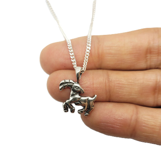 Aries Zodiac Pendant with Chain