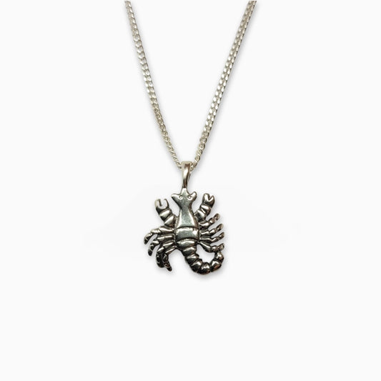 Scorpio Zodiac Pendant with Chain