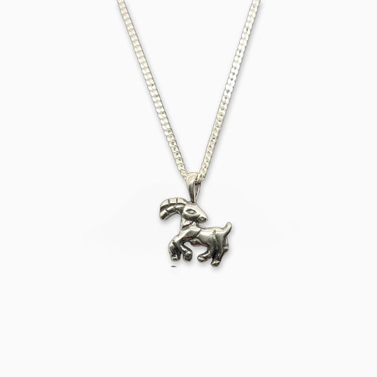 Aries Zodiac Pendant with Chain